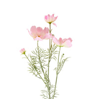 Bloomery Cosmos Stem Soft Pink 76cm