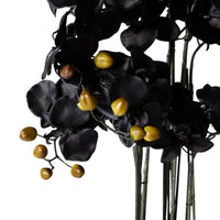 Fiore Black Orchid 8 Stems 90cm