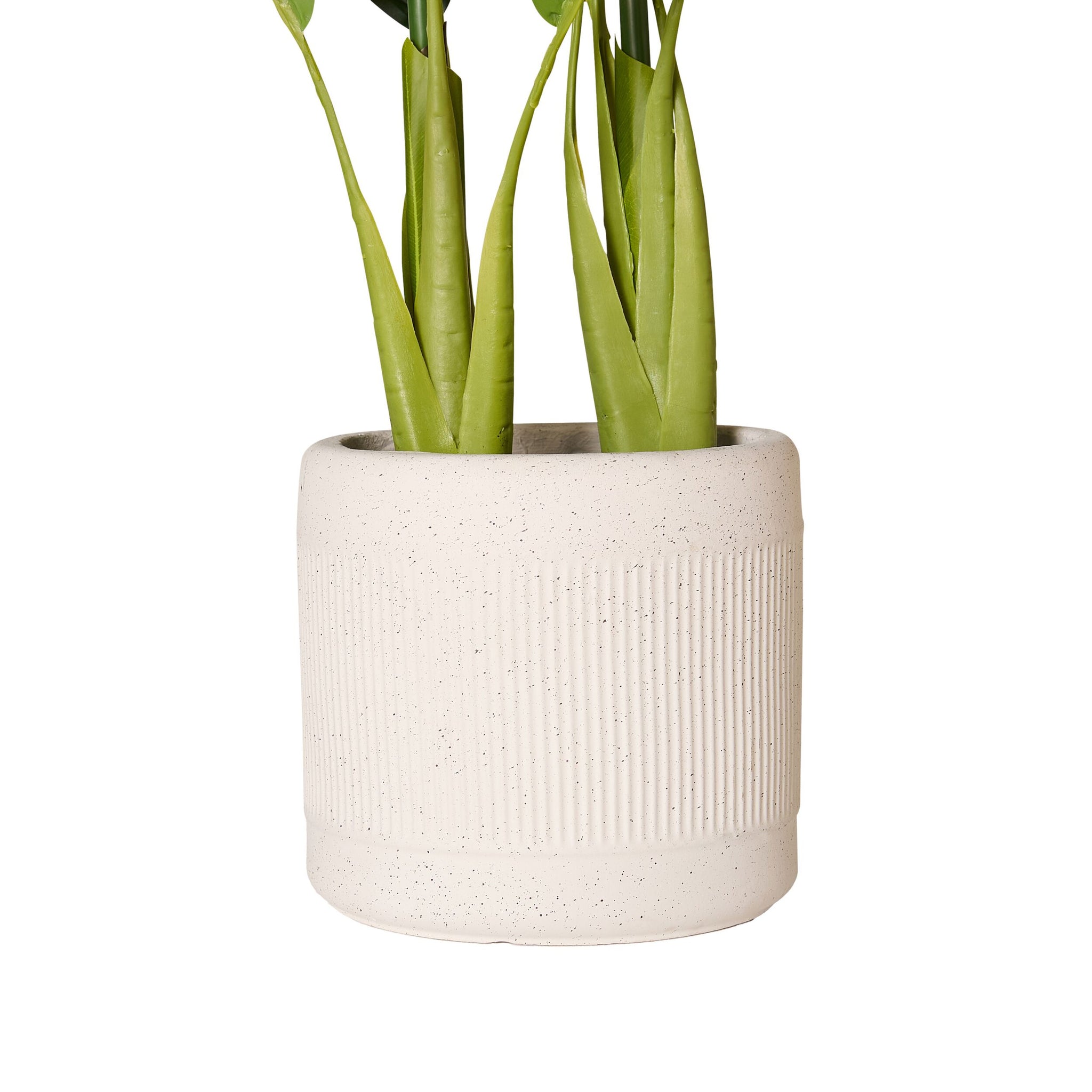 Eden Bird of Paradise 95cm