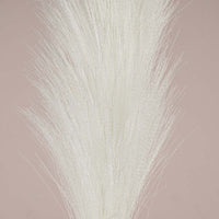 Blume Pampas Grass White 92cm