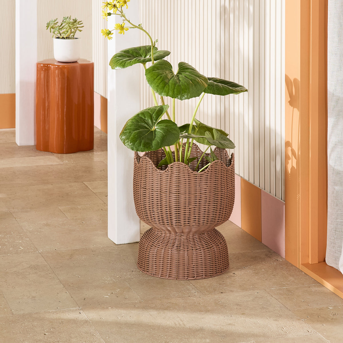lifestyle_insitu: