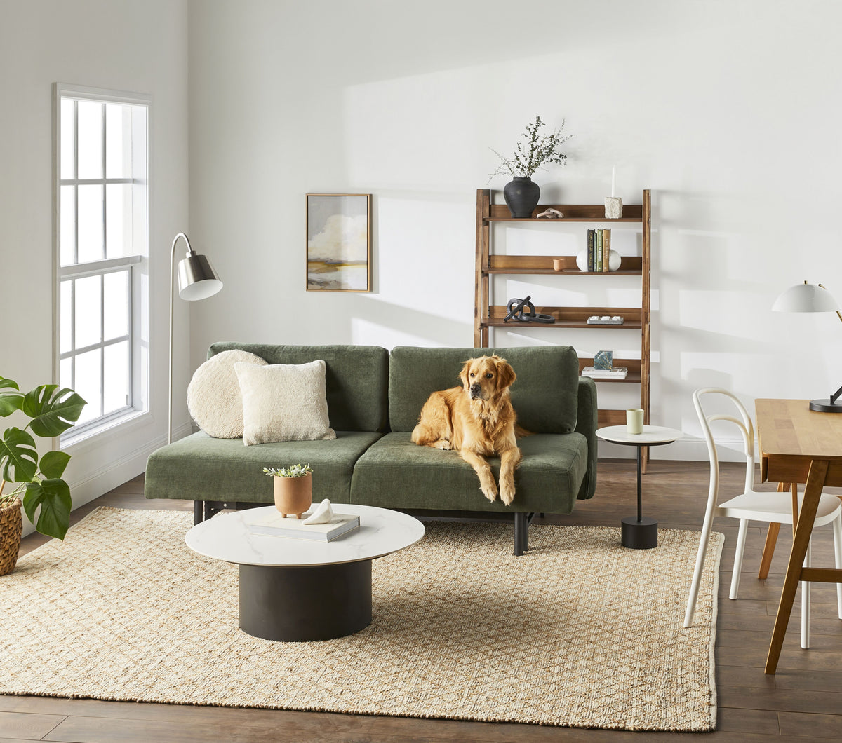lifestyle_insitu: