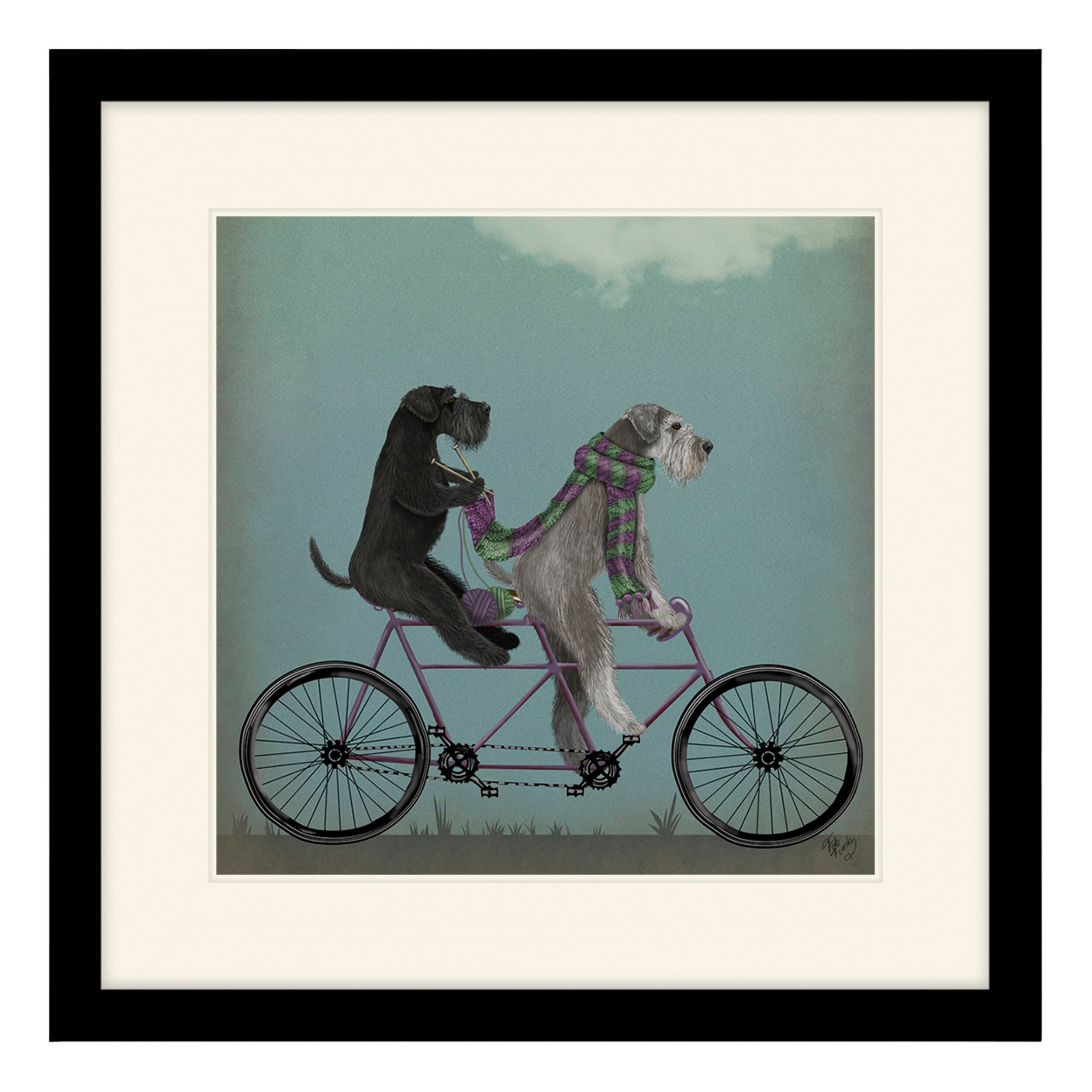 Schnauzers On Bike Print 41x41cm