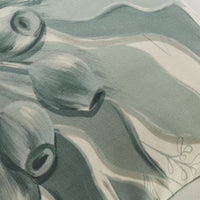 Aruba Hanging Gumnuts Outdoor Cushion 45x45cm