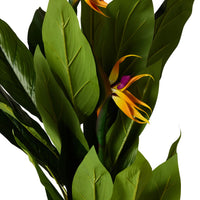 Eden Bird of Paradise 150cm