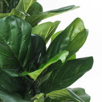 Eden Potted Fiddle Leaf Tree 95cm