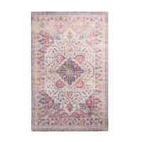 Autumn Vintage Distressed Multi Rug 240x150cm