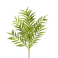 Bloomery Fern Palm Stem 99cm