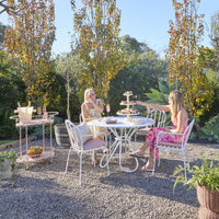 lifestyle_insitu: