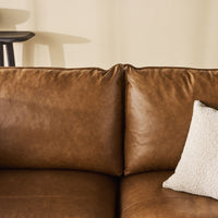 lifestyle_insitu: