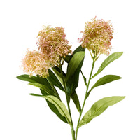 Bloomery Viburnum Stem Pink 57cm