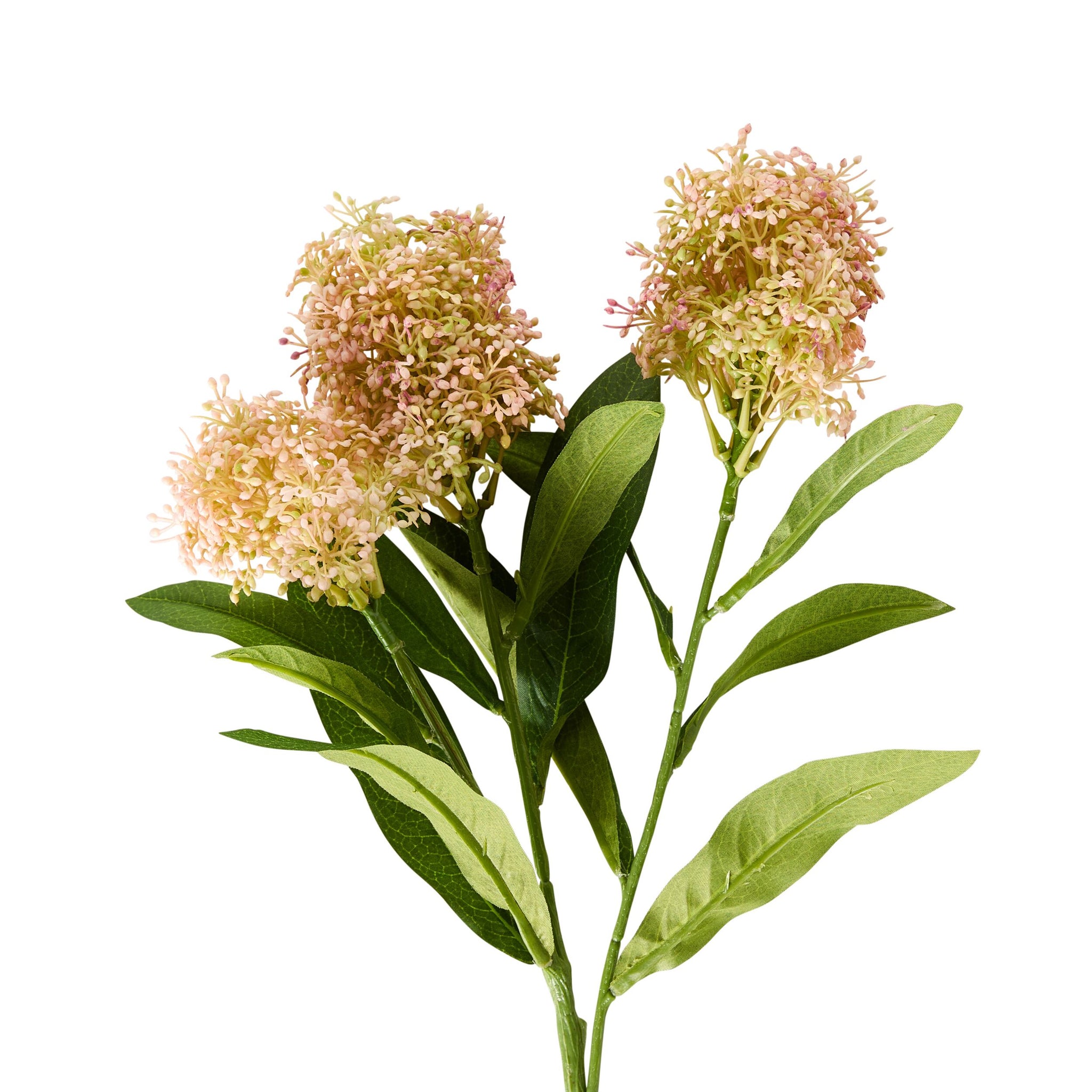 Bloomery Viburnum Stem Pink 57cm