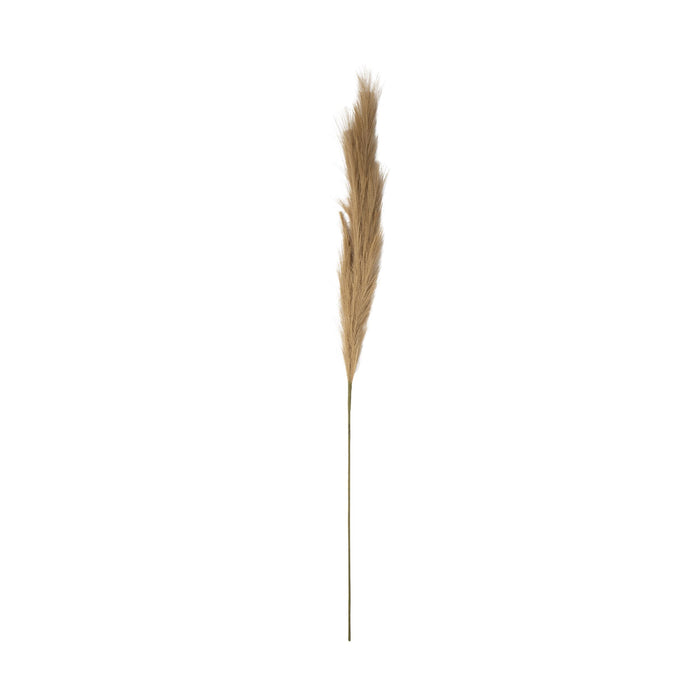 Bloomery Pampas Grass Stem Natural 114cm