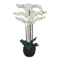 Fiore Orchid 9 Stems 110cm