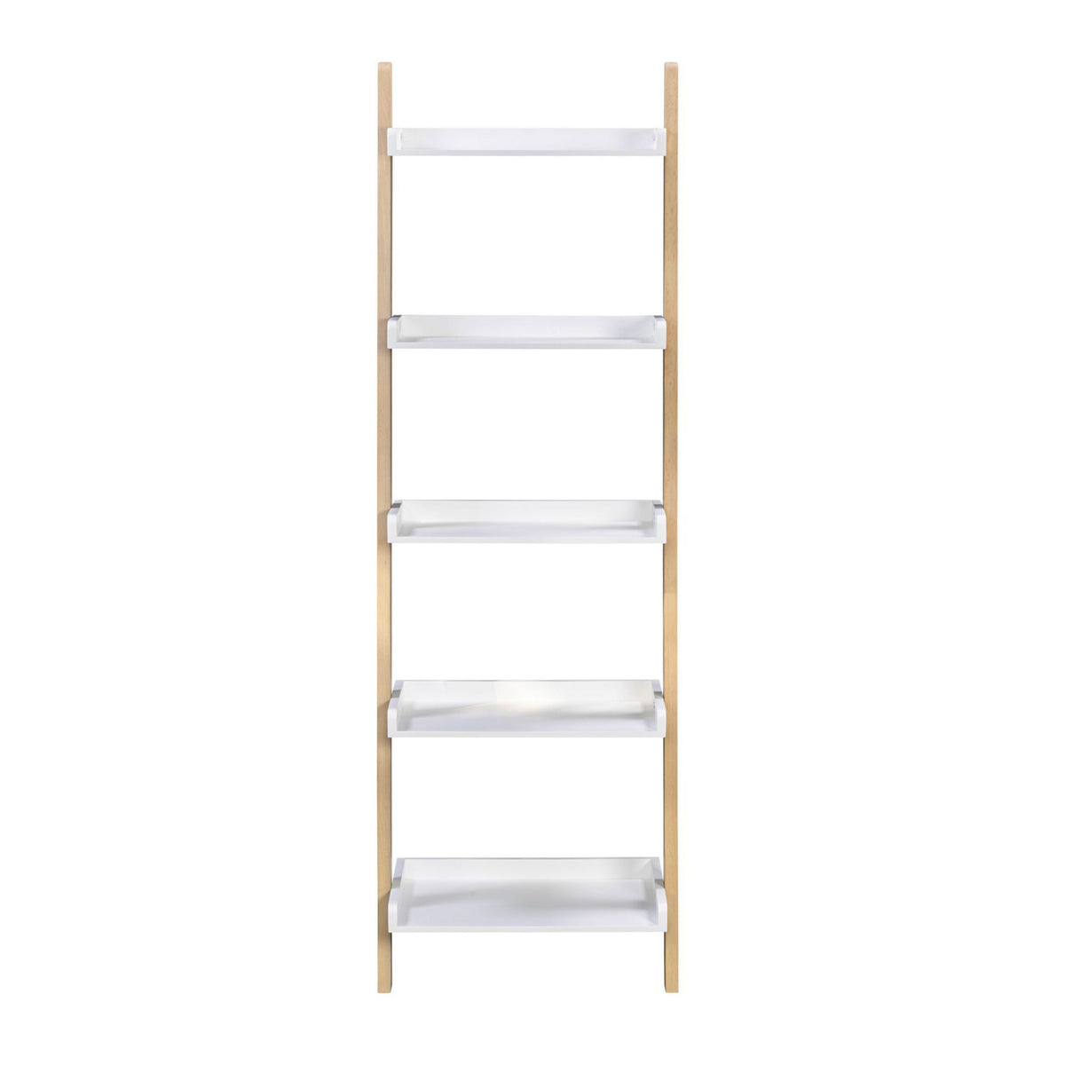 Saige Ladder Shelving Unit