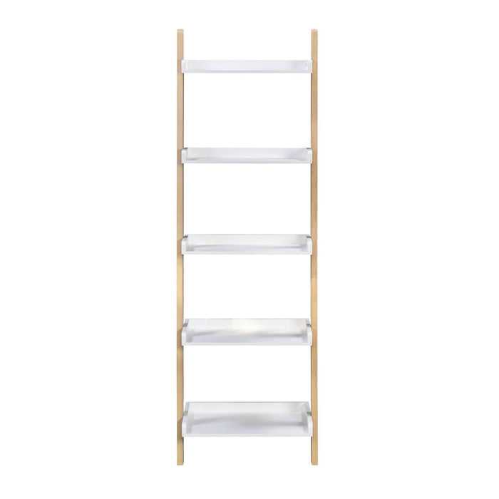 Saige Ladder Shelving Unit