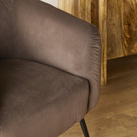lifestyle_insitu: