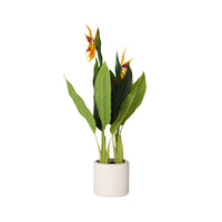 Eden Bird of Paradise 95cm