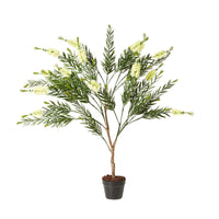 Eden Bottle Brush Cream 130cm